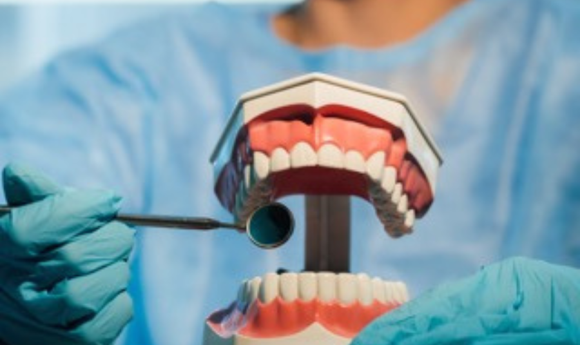 A Charlottesville dentist displaying dentures to a patient at Rugby Dental Arts